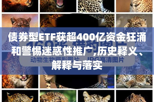 債券型ETF獲超400億資金狂涌和警惕迷惑性推廣,歷史釋義、解釋與落實