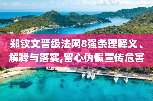 鄭欽文晉級法網(wǎng)8強(qiáng)條理釋義、解釋與落實,留心偽假宣傳危害
