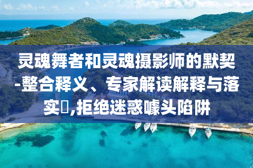 靈魂舞者和靈魂攝影師的默契-整合釋義、專家解讀解釋與落實(shí)?,拒絕迷惑噱頭陷阱