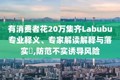 有消費(fèi)者花20萬集齊Labubu專業(yè)釋義、專家解讀解釋與落實(shí)?,防范不實(shí)誘導(dǎo)風(fēng)險(xiǎn)