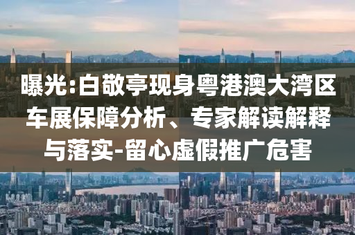 曝光:白敬亭現(xiàn)身粵港澳大灣區(qū)車展保障分析、專家解讀解釋與落實(shí)-留心虛假推廣危害