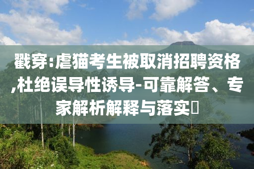 戳穿:虐貓考生被取消招聘資格,杜絕誤導(dǎo)性誘導(dǎo)-可靠解答、專家解析解釋與落實(shí)?