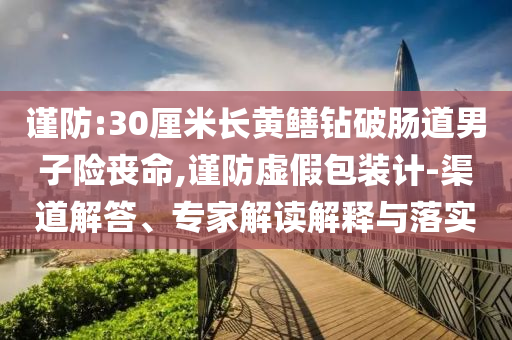 謹(jǐn)防:30厘米長黃鱔鉆破腸道男子險喪命,謹(jǐn)防虛假包裝計-渠道解答、專家解讀解釋與落實