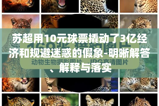 蘇超用10元球票撬動了3億經(jīng)濟和規(guī)避迷惑的假象-明晰解答、解釋與落實