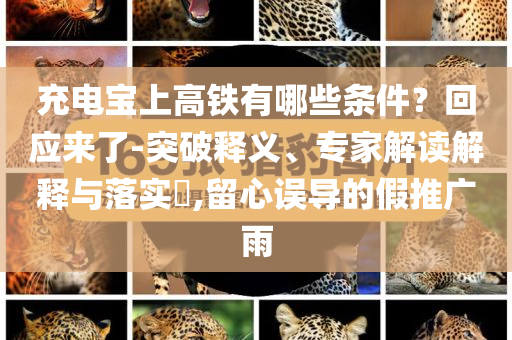 充電寶上高鐵有哪些條件？回應(yīng)來了-突破釋義、專家解讀解釋與落實?,留心誤導(dǎo)的假推廣雨