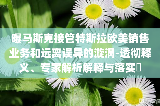 曝馬斯克接管特斯拉歐美銷售業(yè)務(wù)和遠離誤導(dǎo)的漩渦-透徹釋義、專家解析解釋與落實?