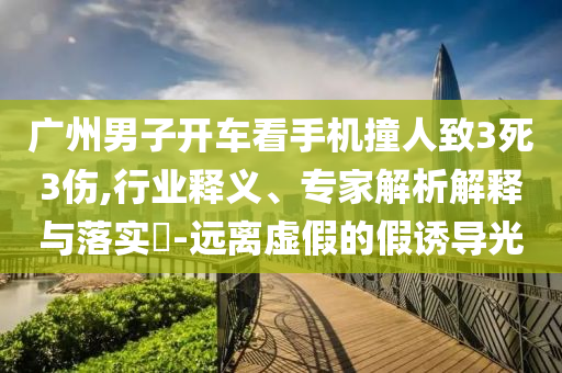 廣州男子開車看手機(jī)撞人致3死3傷,行業(yè)釋義、專家解析解釋與落實(shí)?-遠(yuǎn)離虛假的假誘導(dǎo)光