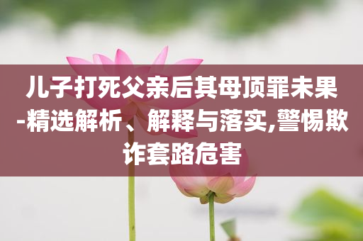 兒子打死父親后其母頂罪未果-精選解析、解釋與落實,警惕欺詐套路危害
