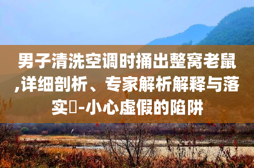 男子清洗空調(diào)時捅出整窩老鼠,詳細(xì)剖析、專家解析解釋與落實?-小心虛假的陷阱