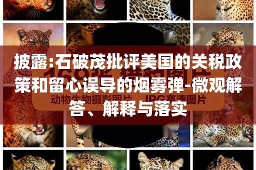 披露:石破茂批評(píng)美國的關(guān)稅政策和留心誤導(dǎo)的煙霧彈-微觀解答、解釋與落實(shí)