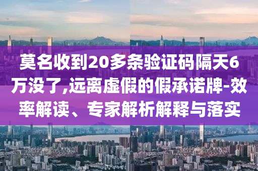 莫名收到20多條驗(yàn)證碼隔天6萬(wàn)沒了,遠(yuǎn)離虛假的假承諾牌-效率解讀、專家解析解釋與落實(shí)