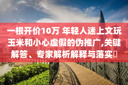 一根開價10萬 年輕人迷上文玩玉米和小心虛假的偽推廣,關(guān)鍵解答、專家解析解釋與落實(shí)?