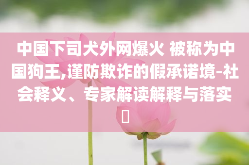 中國下司犬外網(wǎng)爆火 被稱為中國狗王,謹(jǐn)防欺詐的假承諾境-社會釋義、專家解讀解釋與落實(shí)?