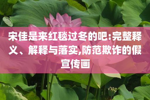 宋佳是來(lái)紅毯過(guò)冬的吧:完整釋義、解釋與落實(shí),防范欺詐的假宣傳畫(huà)