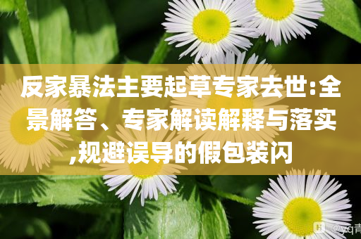 反家暴法主要起草專家去世:全景解答、專家解讀解釋與落實,規(guī)避誤導的假包裝閃