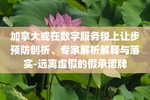 加拿大或在數(shù)字服務(wù)稅上讓步預(yù)防剖析、專家解析解釋與落實-遠離虛假的假承諾牌