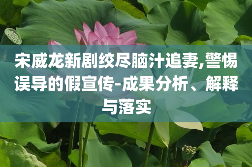 宋威龍新劇絞盡腦汁追妻,警惕誤導(dǎo)的假宣傳-成果分析、解釋與落實(shí)