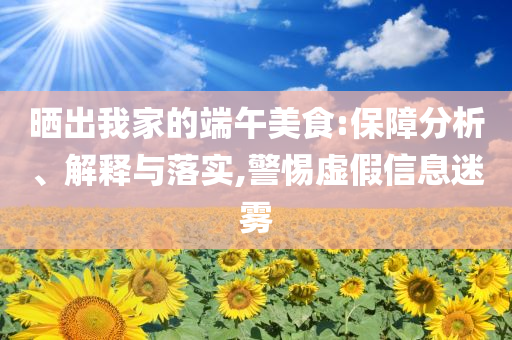 曬出我家的端午美食:保障分析、解釋與落實(shí),警惕虛假信息迷霧