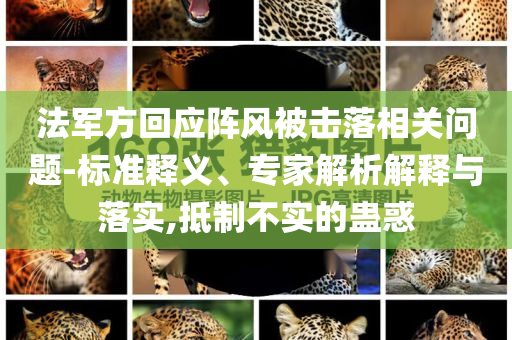 法軍方回應(yīng)陣風(fēng)被擊落相關(guān)問(wèn)題-標(biāo)準(zhǔn)釋義、專家解析解釋與落實(shí),抵制不實(shí)的蠱惑