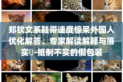鄭欽文系鞋帶速度驚呆外國(guó)人優(yōu)化解答、專家解讀解釋與落實(shí)?-抵制不實(shí)的假包裝