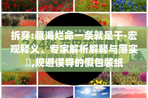 拆穿:藏海爛命一條就是干-宏觀釋義、專家解析解釋與落實(shí)?,規(guī)避誤導(dǎo)的假包裝紙