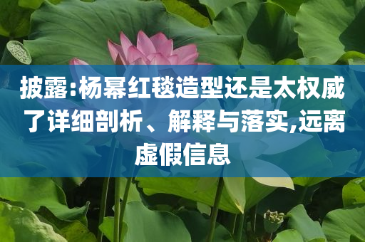 披露:楊冪紅毯造型還是太權(quán)威了詳細(xì)剖析、解釋與落實(shí),遠(yuǎn)離虛假信息