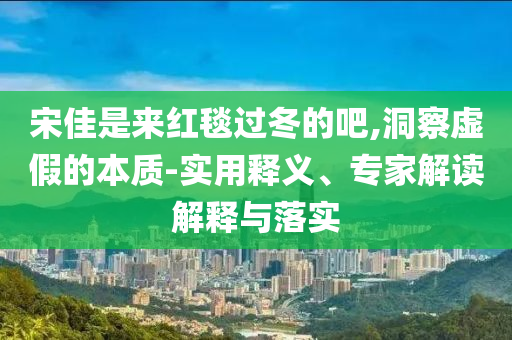 宋佳是來紅毯過冬的吧,洞察虛假的本質(zhì)-實用釋義、專家解讀解釋與落實