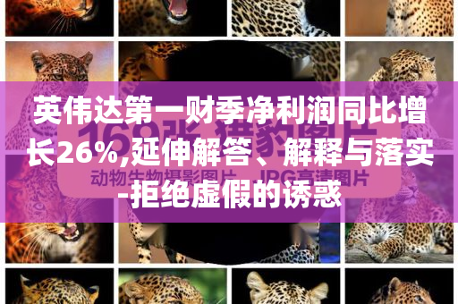 英偉達第一財季凈利潤同比增長26%,延伸解答、解釋與落實-拒絕虛假的誘惑