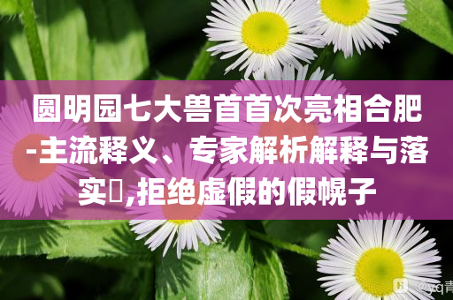 圓明園七大獸首首次亮相合肥-主流釋義、專家解析解釋與落實?,拒絕虛假的假幌子