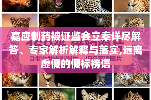 嘉應(yīng)制藥被證監(jiān)會(huì)立案詳盡解答、專家解析解釋與落實(shí),遠(yuǎn)離虛假的假標(biāo)榜語