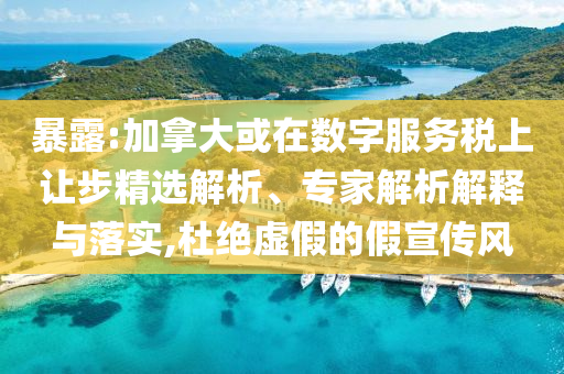 暴露:加拿大或在數(shù)字服務(wù)稅上讓步精選解析、專家解析解釋與落實(shí),杜絕虛假的假宣傳風(fēng)