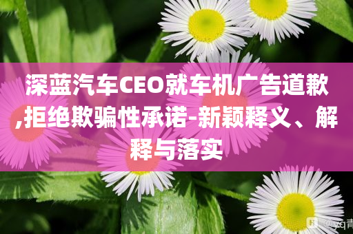 深藍(lán)汽車CEO就車機(jī)廣告道歉,拒絕欺騙性承諾-新穎釋義、解釋與落實(shí)