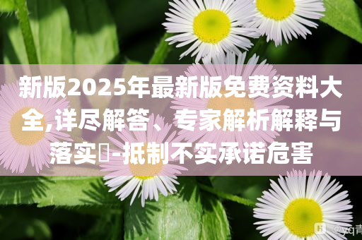 新版2025年最新版免費(fèi)資料大全,詳盡解答、專家解析解釋與落實(shí)?-抵制不實(shí)承諾危害