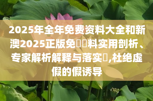 2025年全年免費(fèi)資料大全和新澳2025正版免費(fèi)資料實(shí)用剖析、專家解析解釋與落實(shí)?,杜絕虛假的假誘導(dǎo)