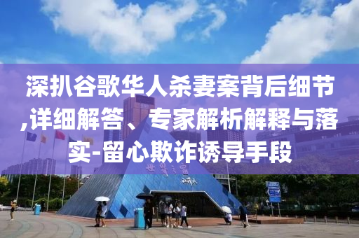 深扒谷歌華人殺妻案背后細(xì)節(jié),詳細(xì)解答、專家解析解釋與落實(shí)-留心欺詐誘導(dǎo)手段