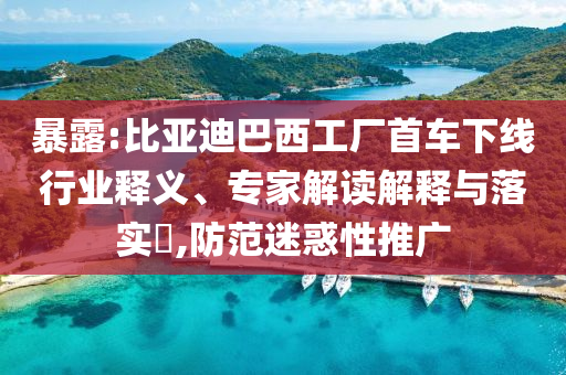 暴露:比亞迪巴西工廠首車下線行業(yè)釋義、專家解讀解釋與落實(shí)?,防范迷惑性推廣