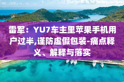 雷軍：YU7車主里蘋果手機用戶過半,謹防虛假包裝-痛點釋義、解釋與落實