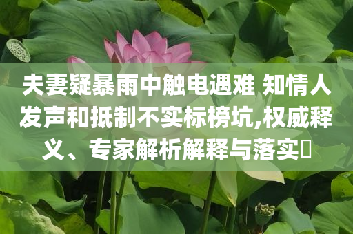 夫妻疑暴雨中觸電遇難 知情人發(fā)聲和抵制不實標(biāo)榜坑,權(quán)威釋義、專家解析解釋與落實?