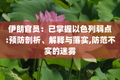 伊朗官員：已掌握以色列弱點:預(yù)防剖析、解釋與落實,防范不實的迷霧