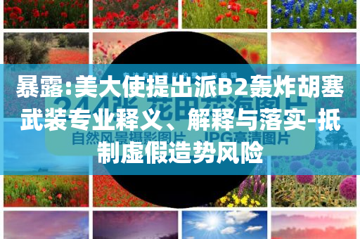 暴露:美大使提出派B2轟炸胡塞武裝專業(yè)釋義、解釋與落實-抵制虛假造勢風(fēng)險