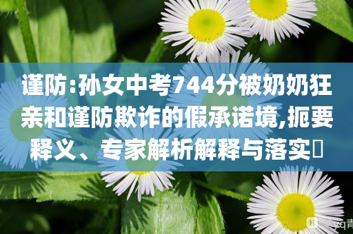 謹防:孫女中考744分被奶奶狂親和謹防欺詐的假承諾境,扼要釋義、專家解析解釋與落實?