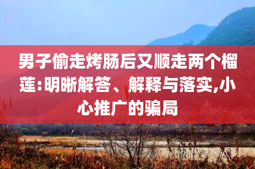 男子偷走烤腸后又順走兩個榴蓮:明晰解答、解釋與落實,小心推廣的騙局