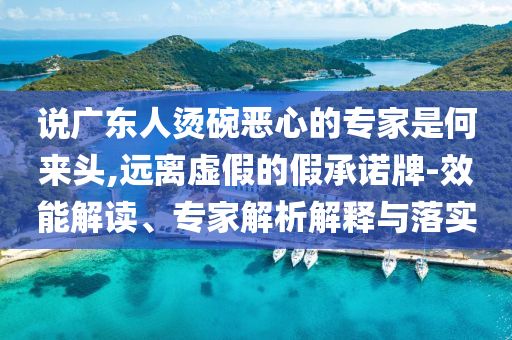說廣東人燙碗惡心的專家是何來頭,遠離虛假的假承諾牌-效能解讀、專家解析解釋與落實