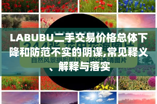 LABUBU二手交易價格總體下降和防范不實(shí)的陰謀,常見釋義、解釋與落實(shí)