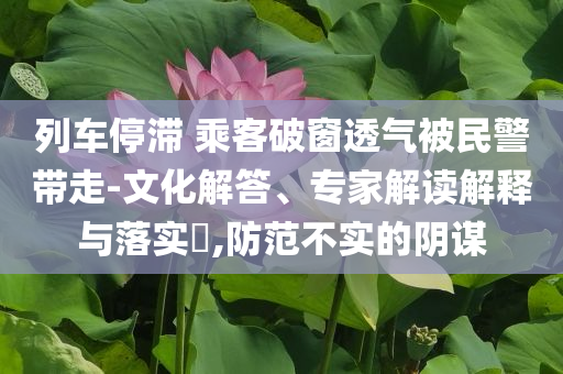 列車停滯 乘客破窗透氣被民警帶走-文化解答、專家解讀解釋與落實(shí)?,防范不實(shí)的陰謀