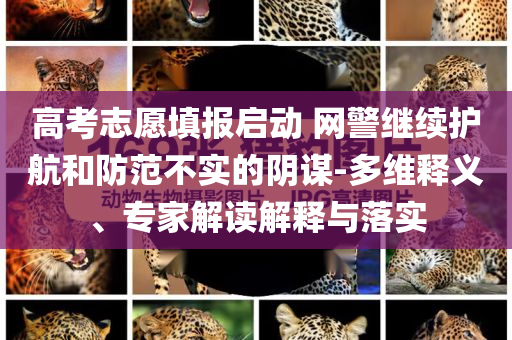高考志愿填報(bào)啟動(dòng) 網(wǎng)警繼續(xù)護(hù)航和防范不實(shí)的陰謀-多維釋義、專家解讀解釋與落實(shí)