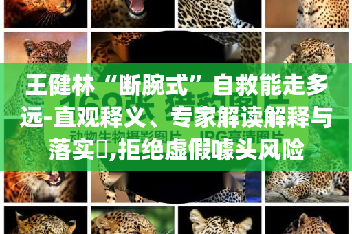 王健林“斷腕式”自救能走多遠-直觀釋義、專家解讀解釋與落實?,拒絕虛假噱頭風(fēng)險