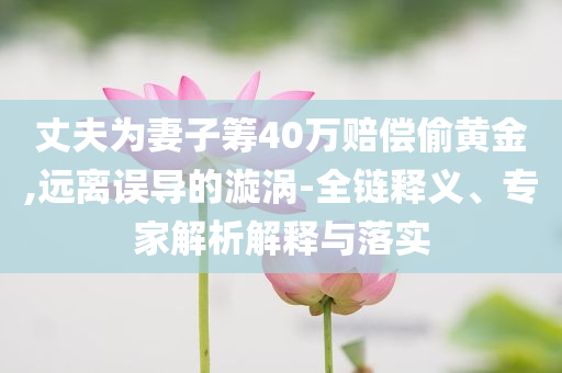 丈夫為妻子籌40萬賠償偷黃金,遠離誤導的漩渦-全鏈釋義、專家解析解釋與落實