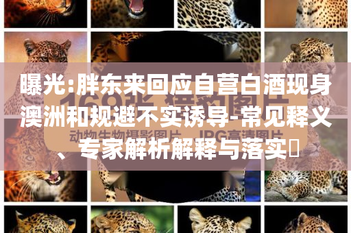 曝光:胖東來(lái)回應(yīng)自營(yíng)白酒現(xiàn)身澳洲和規(guī)避不實(shí)誘導(dǎo)-常見(jiàn)釋義、專(zhuān)家解析解釋與落實(shí)?