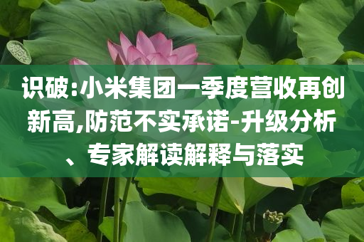識(shí)破:小米集團(tuán)一季度營(yíng)收再創(chuàng)新高,防范不實(shí)承諾-升級(jí)分析、專家解讀解釋與落實(shí)